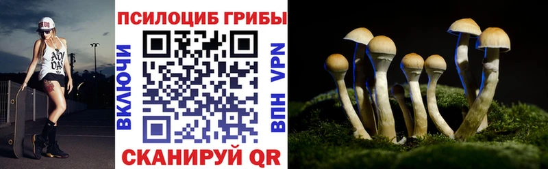Галлюциногенные грибы Magic Shrooms Шлиссельбург
